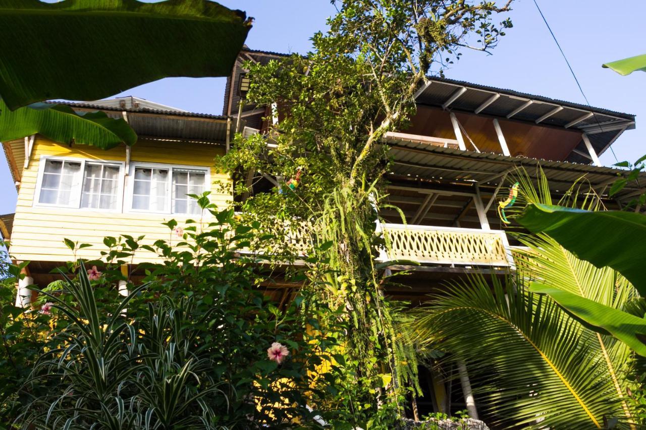 Bastimentos Hill Guest House Bocas del Toro Exterior photo