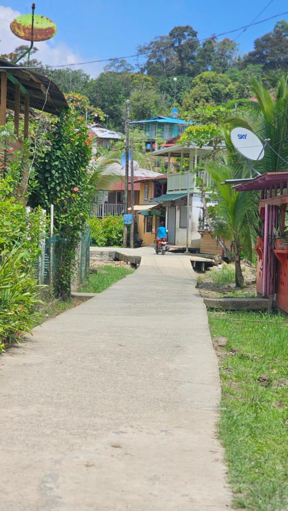 Bastimentos Hill Guest House Bocas del Toro Exterior photo